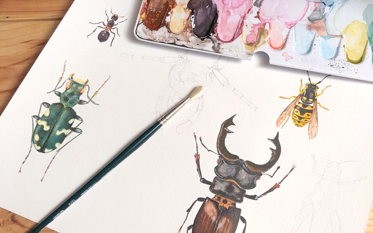 Eine liebevoll von Hand illustrierte Tier- und Pflanzenwelt