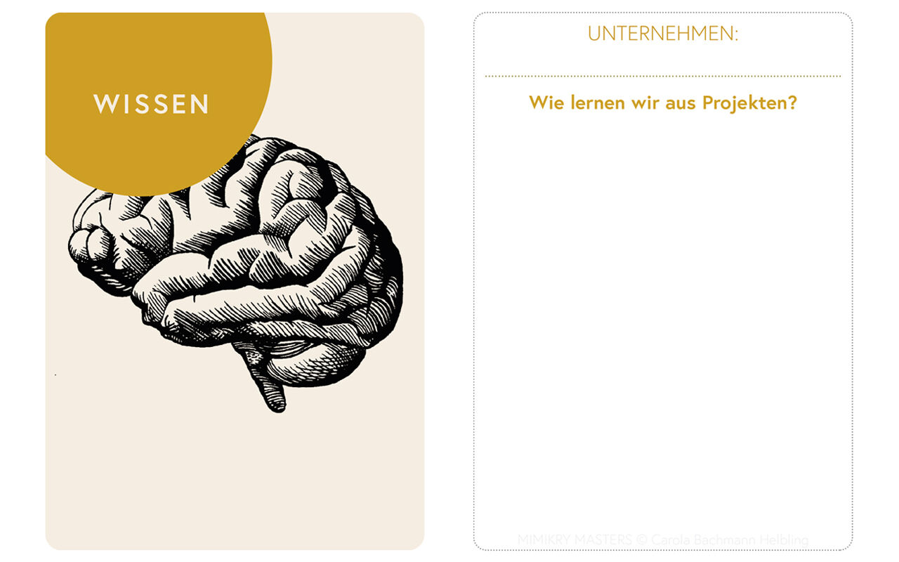 Basiskarte «Wissen», auf der Rückseite wird notiert