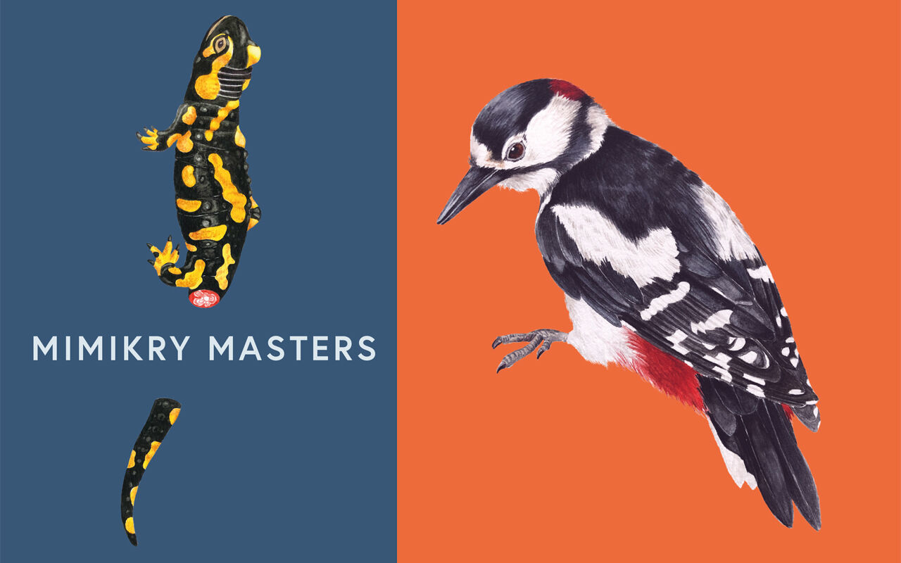 Eintauchen in MIMIKRY MASTERS