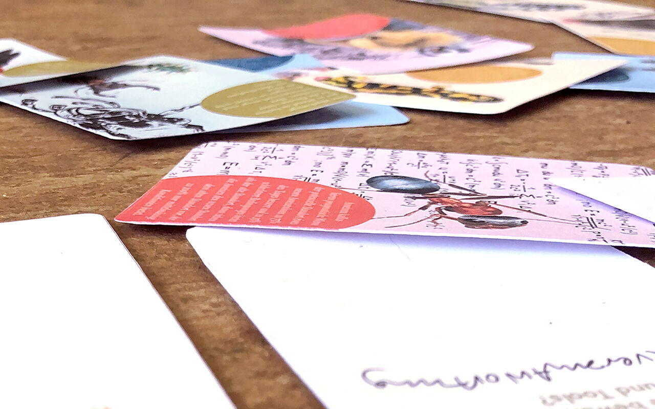 Die Karten regen zur Diskussion an