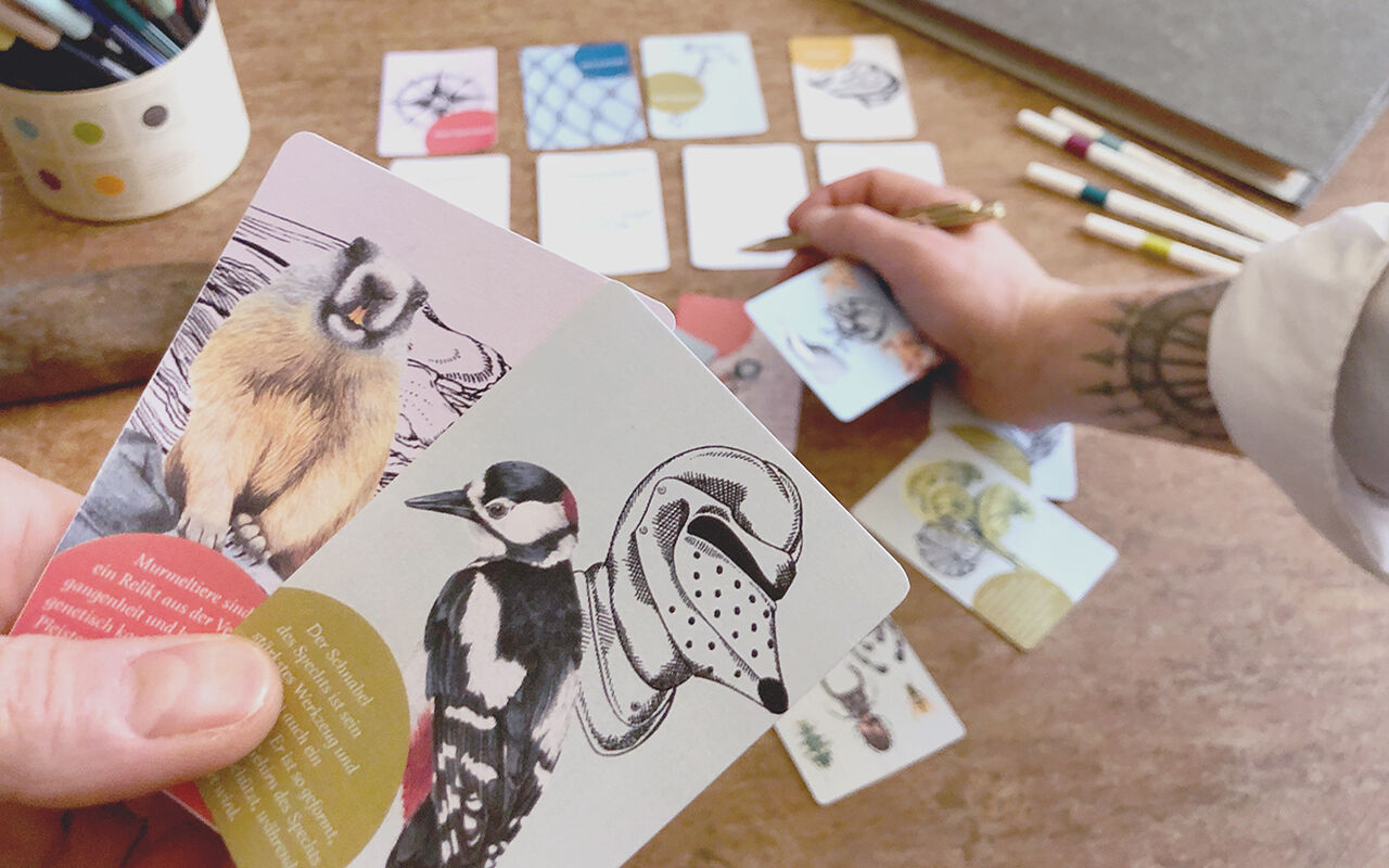 Die Karten werden ausgeteilt