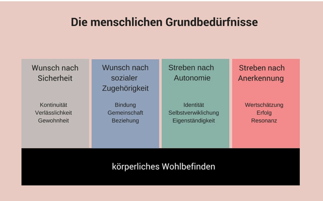 Die menschlichen Grundbedürfnisse nach Klaus D. Grawe (2000)